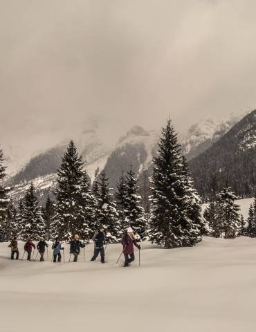 Gruppe beim Schneeschuhwandern in Tirol
