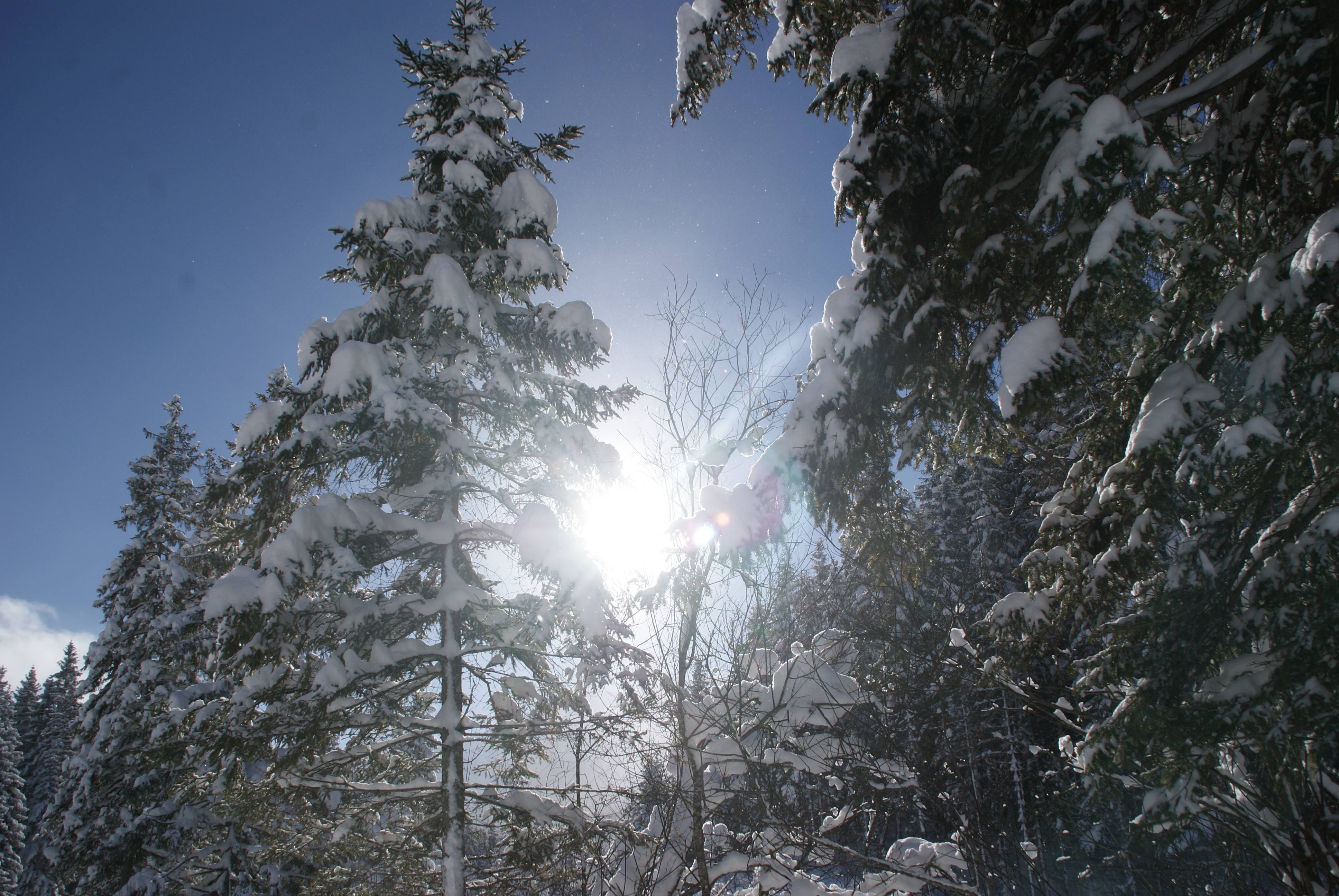 Les purs plaisirs de l'hiver - Der Brandstetterhof