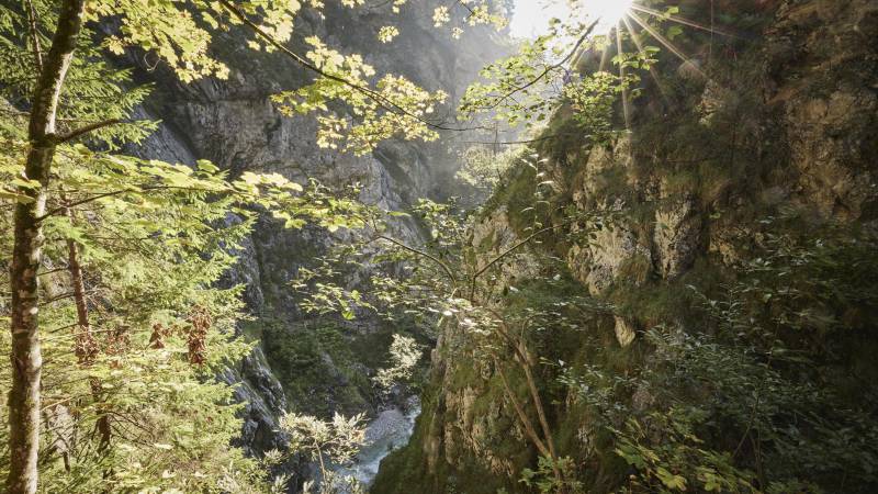 Vlčí soutěska: Jen 500 metrů do soutěsky - Der Brandstetterhof