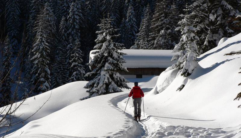 Faire du ski de randonnée: Expérience ski de randonnée au Tyrol - Der Brandstetterhof