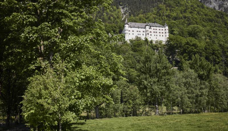 De omgeving van Stans: Vakantie dicht bij de natuur en centraal in Tirol - Der Brandstetterhof