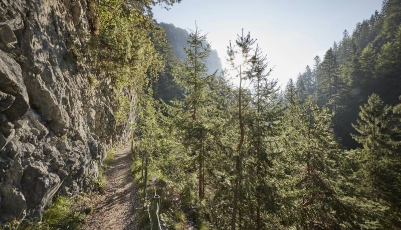 Begeleide wandelingen: Met de bergwandelgids - Der Brandstetterhof