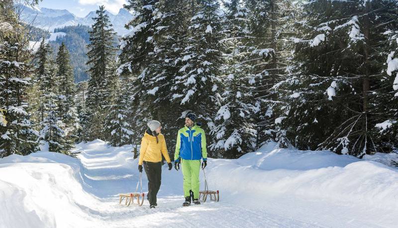 Faire de la luge dans le Karwendel: Avec des youyous de joie sur les pistes de luge - Der Brandstetterhof