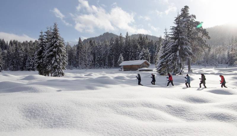 Sneeuwschoenwandelen: In de stille winternatuur - Der Brandstetterhof