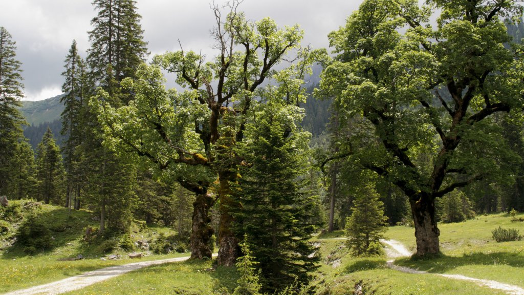 Urlaub Im Naturpark Karwendel – Der Brandstetterhof